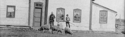 Guttormur J. Guttormsson (in the middle) with his father Jón Guttormsson and his brother Vigfús Guttormsson at their farm Víðivellir, Manitoba, ca. 1885.